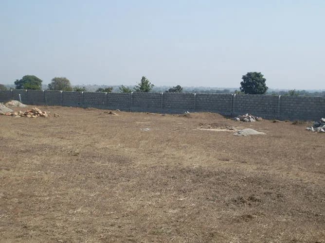 Suchirindia Le Colossal, Shankarpally