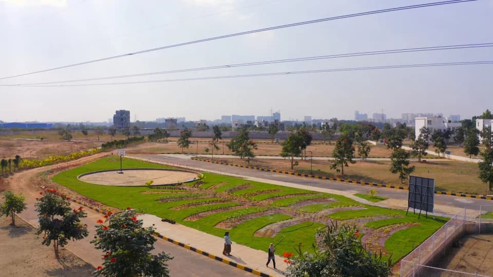 Bluejay Aster Plots, Electronic City
