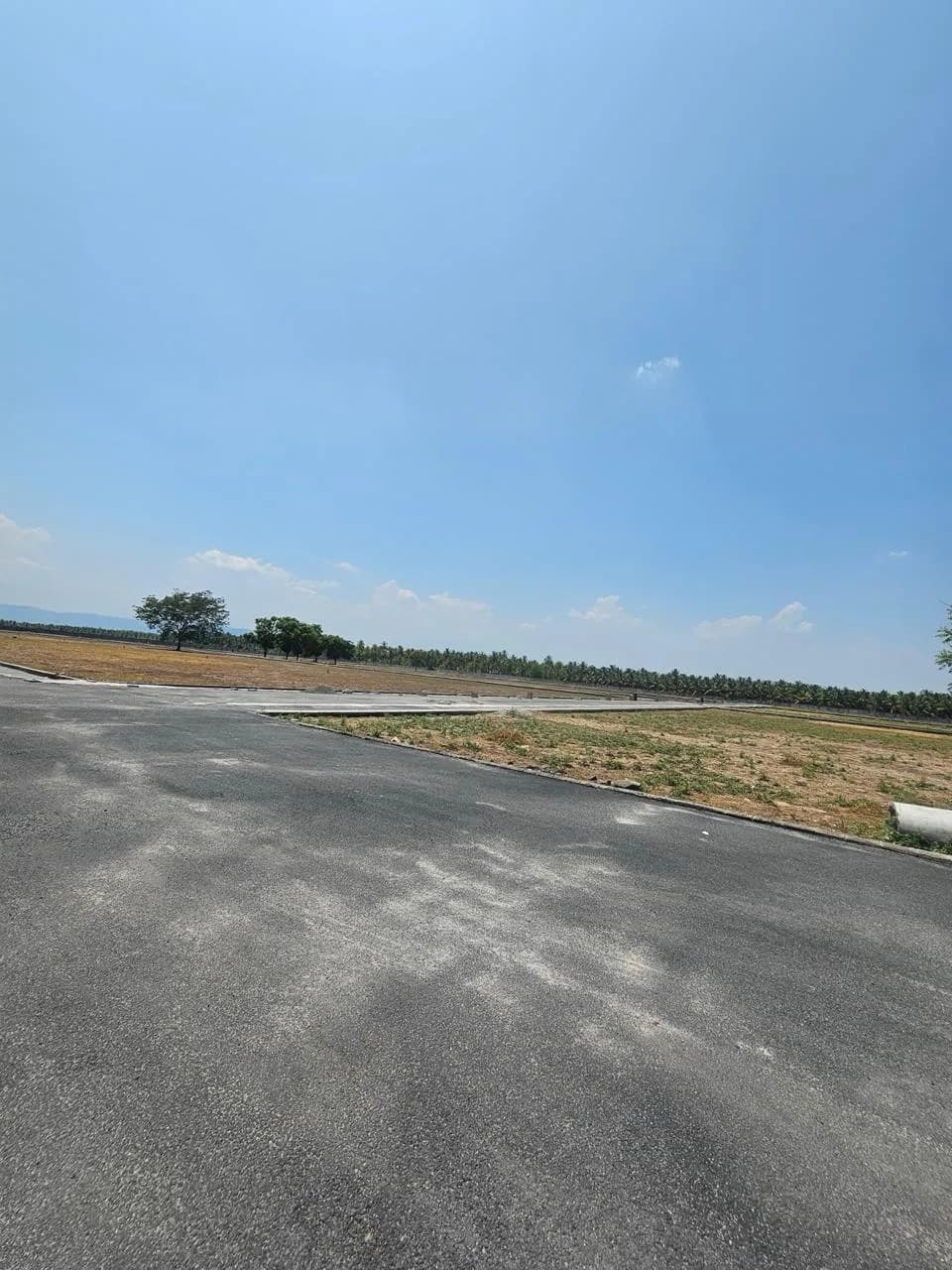Dev Heritage Farms, Saravanampatti