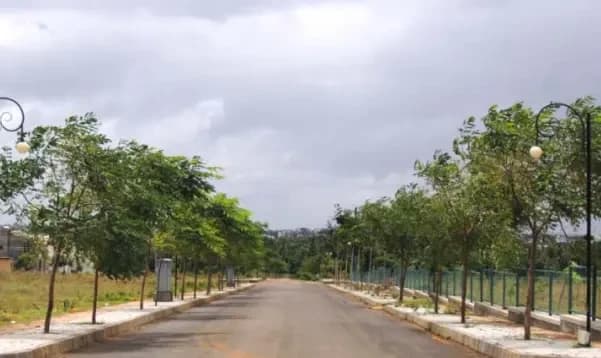 Livingstone Elegance, RT Nagar