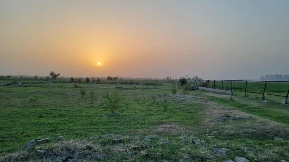 Lotus Farms — Site View