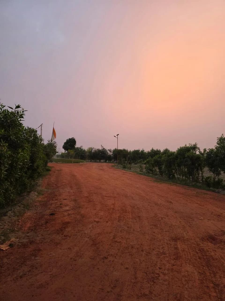 Lotus Farms, Techzone