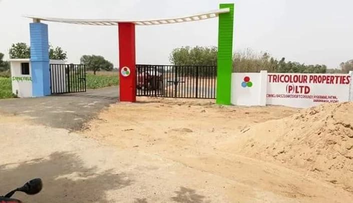 Tricolour Spring Fields, Bihta