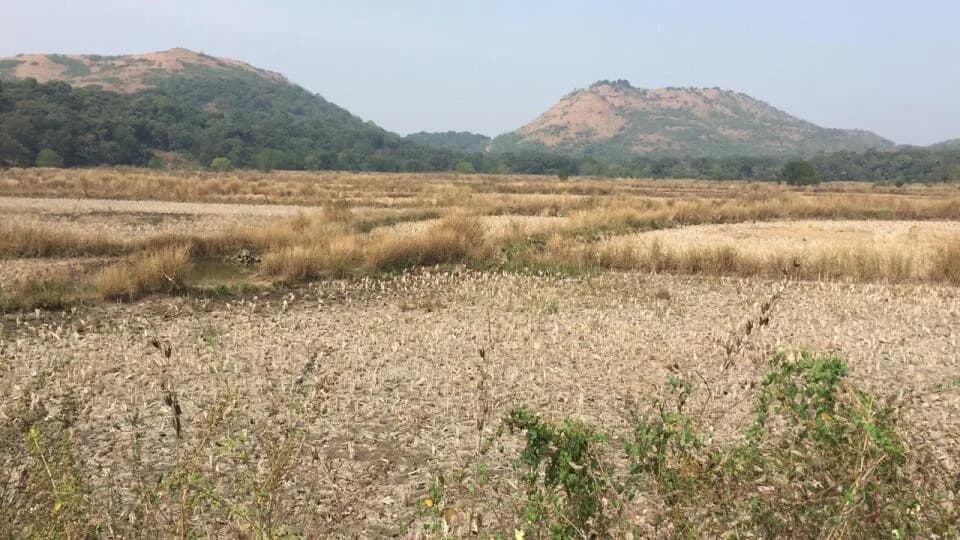 Landmark Mangaon City, Mangaon
