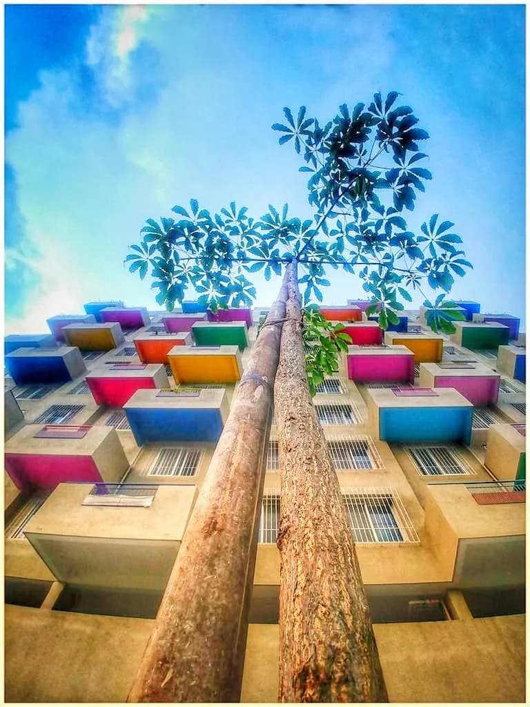 Green Republic, Wagholi