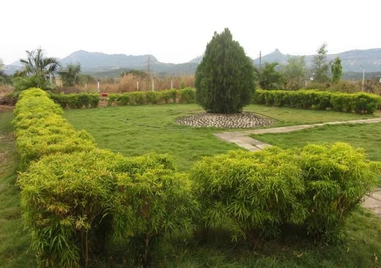 Assets The Chalets Avenue — Garden