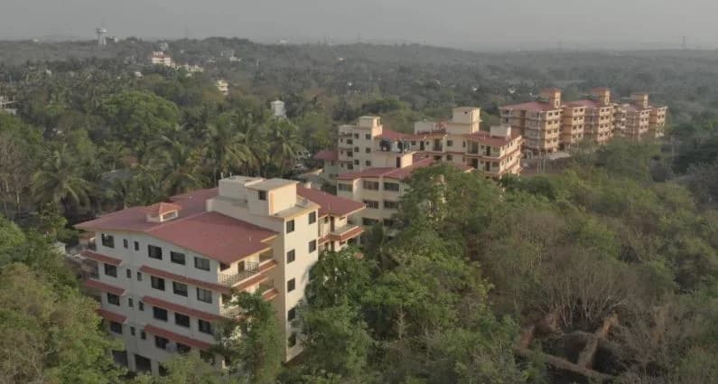 Lonica Sundale Complex, Madel