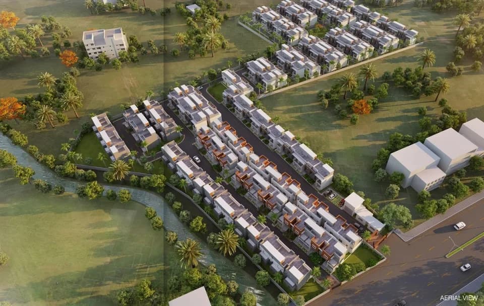 Larica Green Hamlet 2, Borjhar