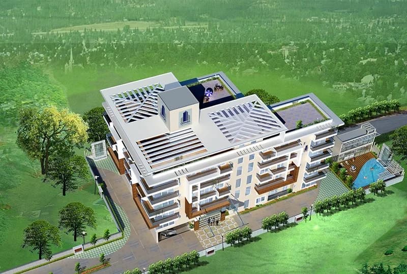 Aswan The Marquis, Whitefield