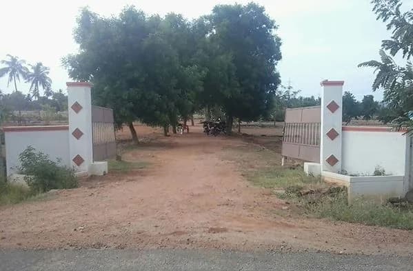 Propsmart Motherland, Karadikal
