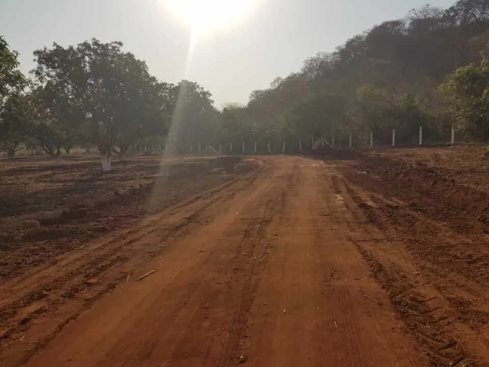 Akshaya Farm Land, Cheemalapadu