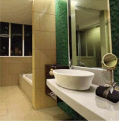 Falcon Jacaranda Crest — Washroom