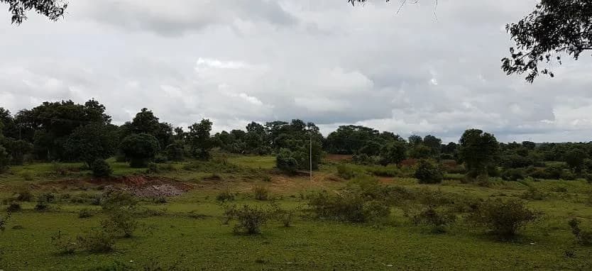 Canh Golden Property Castle, Hullenahalli