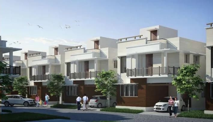 Royal Avenue, Ariyamangalam