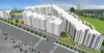 PPR Silver Palm, Wariana