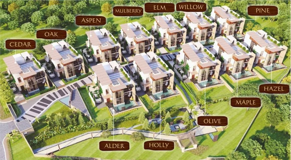 Arealty Misty Hills — Ariel View