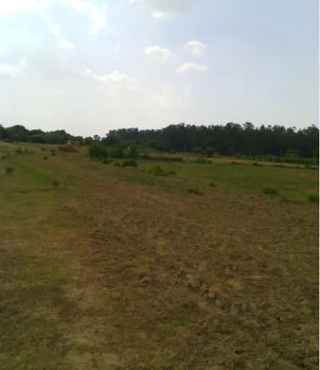 Divine Homes Residential Plots, Dhouj