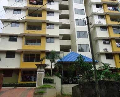 Pentium Palm Grove, Padippura