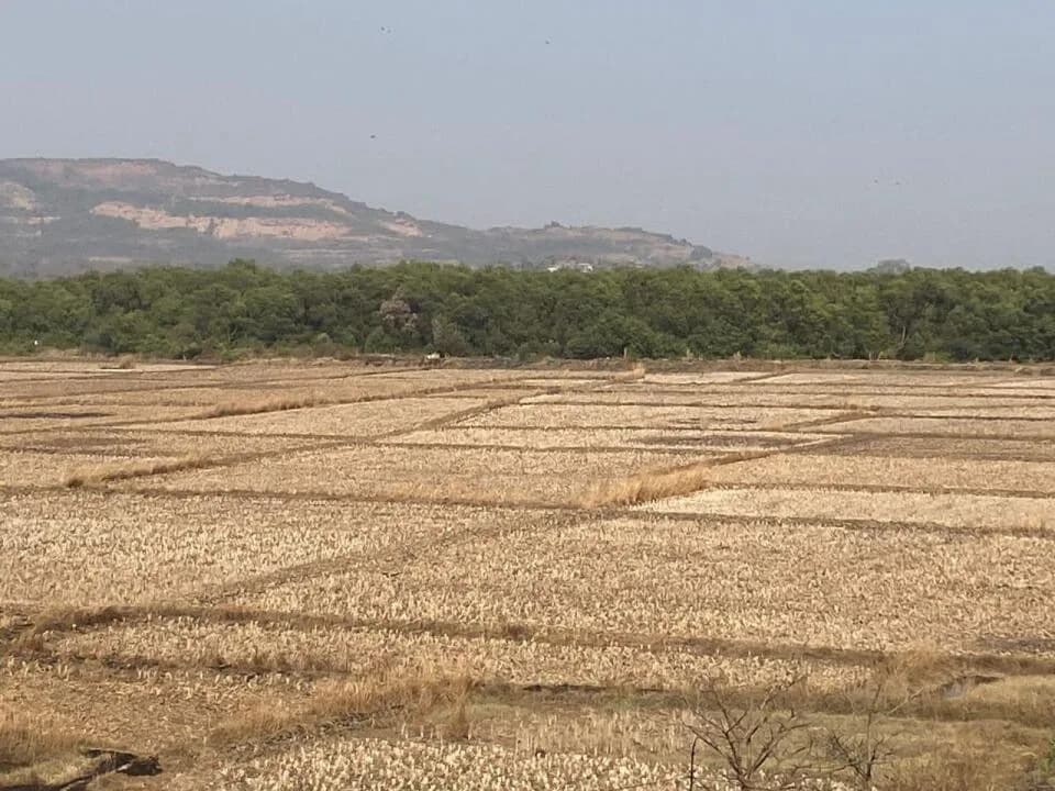 Ranjanpada First Land, Ranjanpada