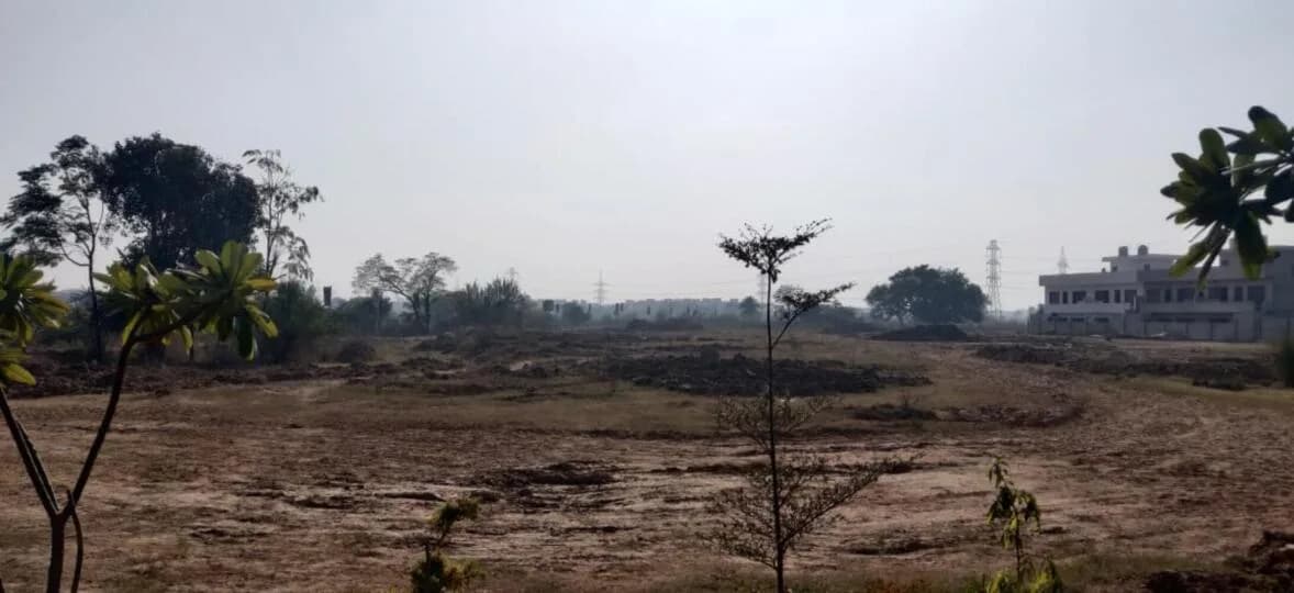 Horizon Greensville, Sector 113