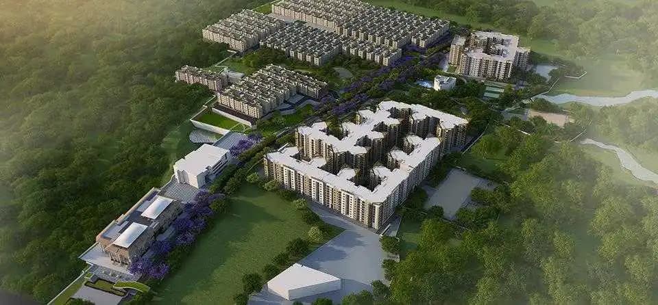Carnation At Brigade Meadows, Kanakapura Road