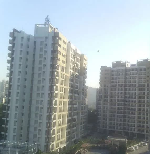 Rosa Gardenia, Kasar vadavali