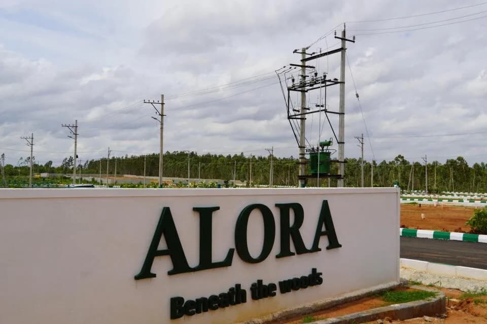 Alora Beneath the Woods, Chikka Tirupathi