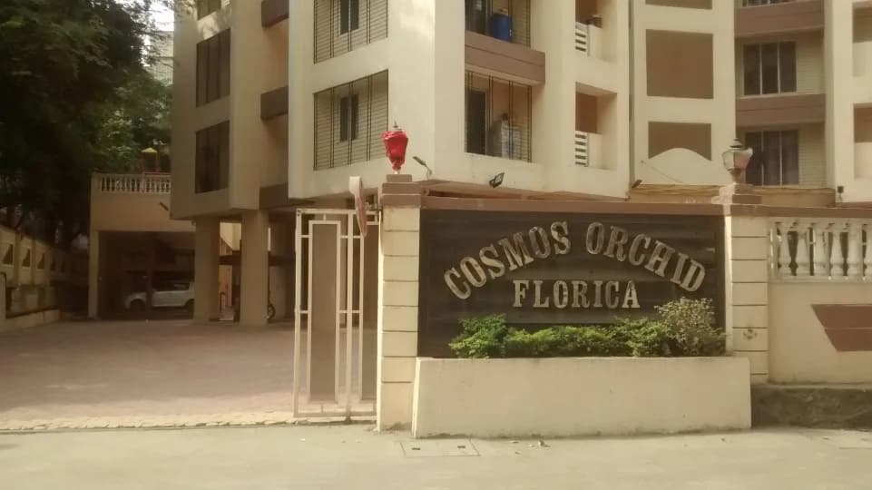Cosmos Orchid, Kasar vadavali