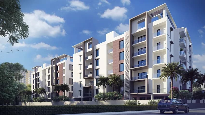 Divine Babylon, Whitefields