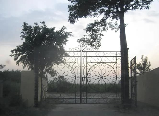 DPL Flora Farms, Sector 135