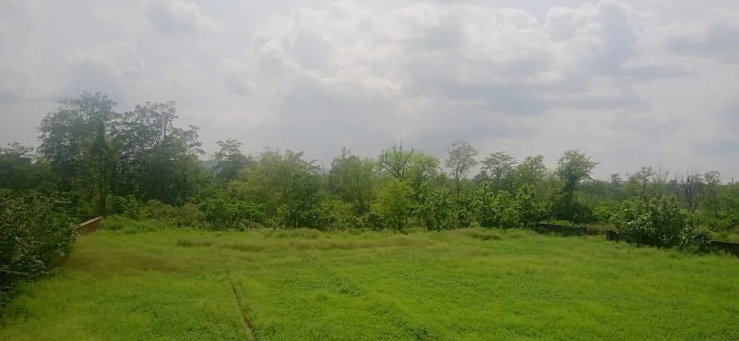 Investors Dhaniyari Greens, Thano
