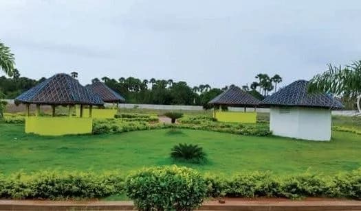 Thakurs Nivas — Garden