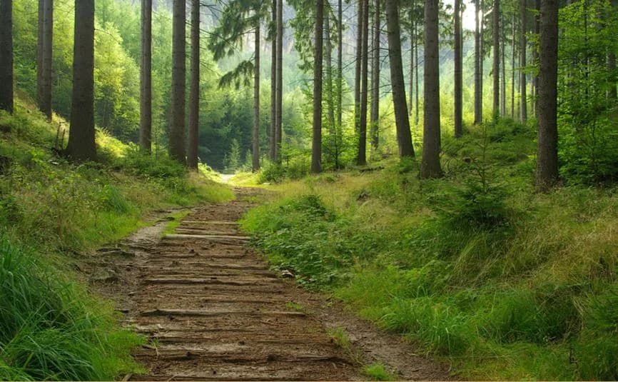 Pragati Crystal — Walking Trail