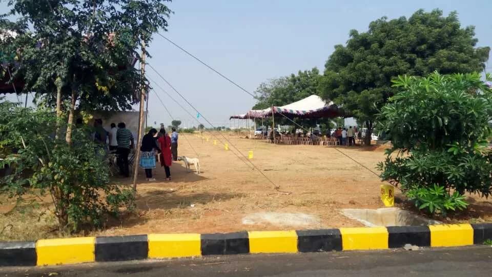 Sri Surena Lotus Gardens 4, Shad nagar