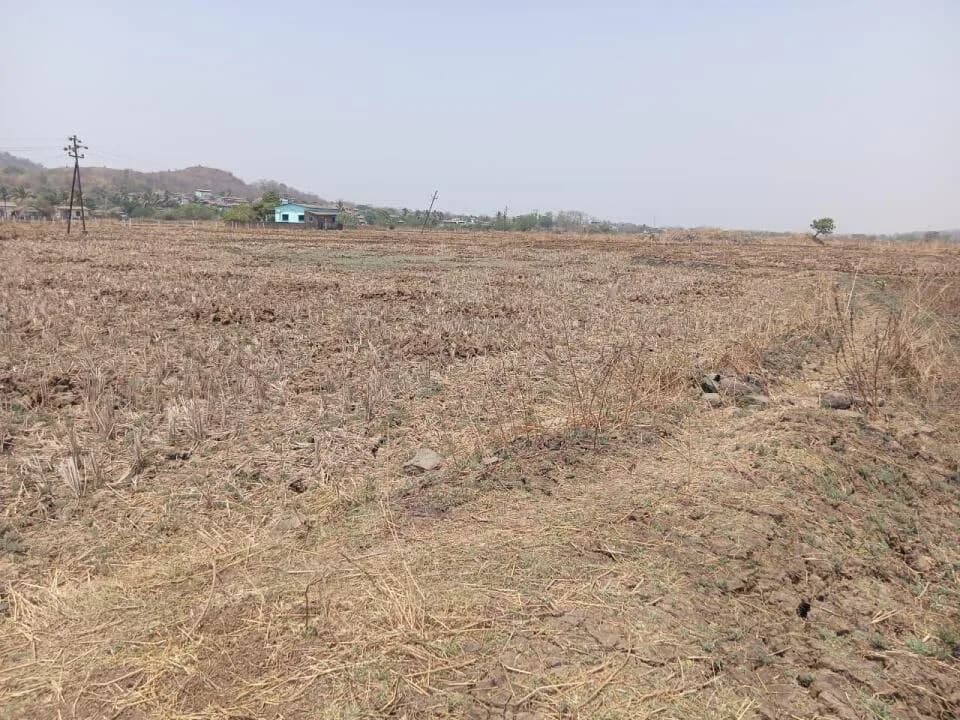 Investland Reality Lands and Plots, Pirkon