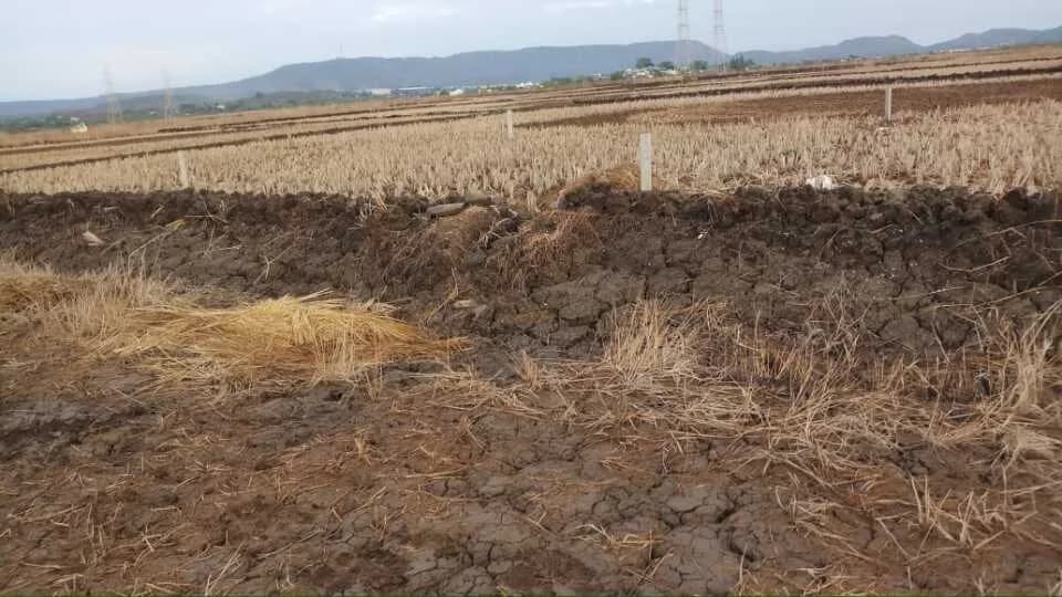 Navi Mumbai Plots Vindhane, Dronagiri