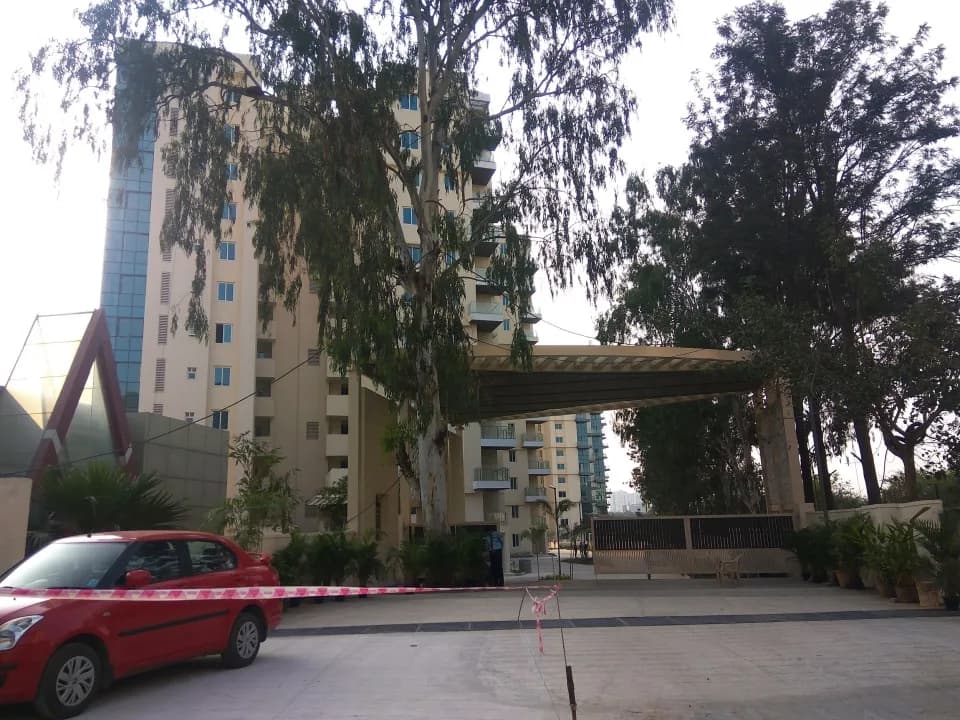 The Five Summits Address, Whitefield
