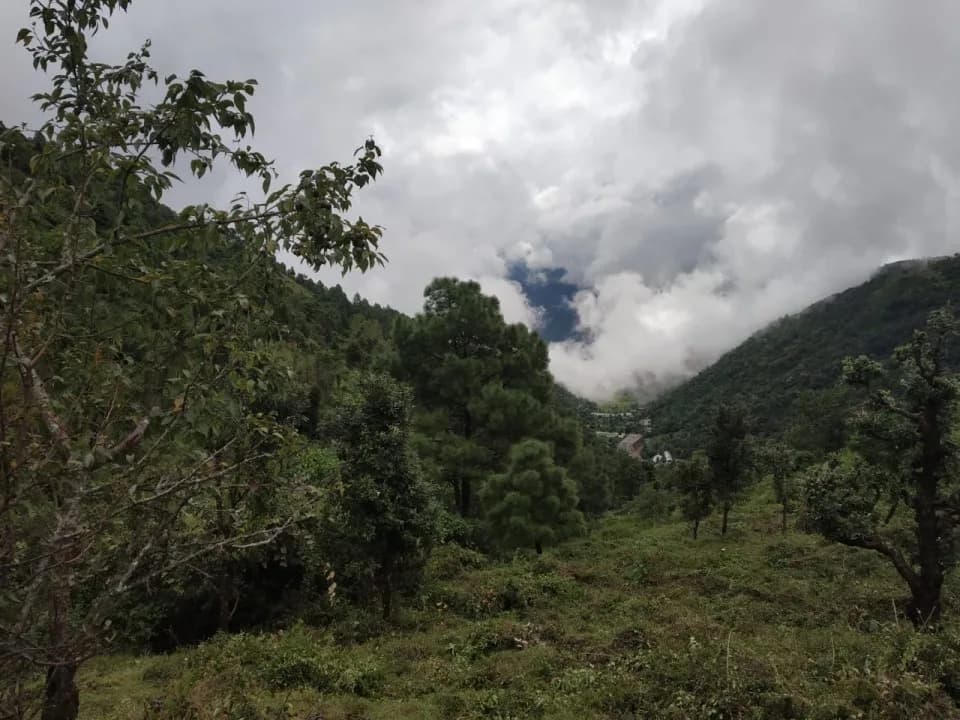 Mitra Homes, Bhimtal