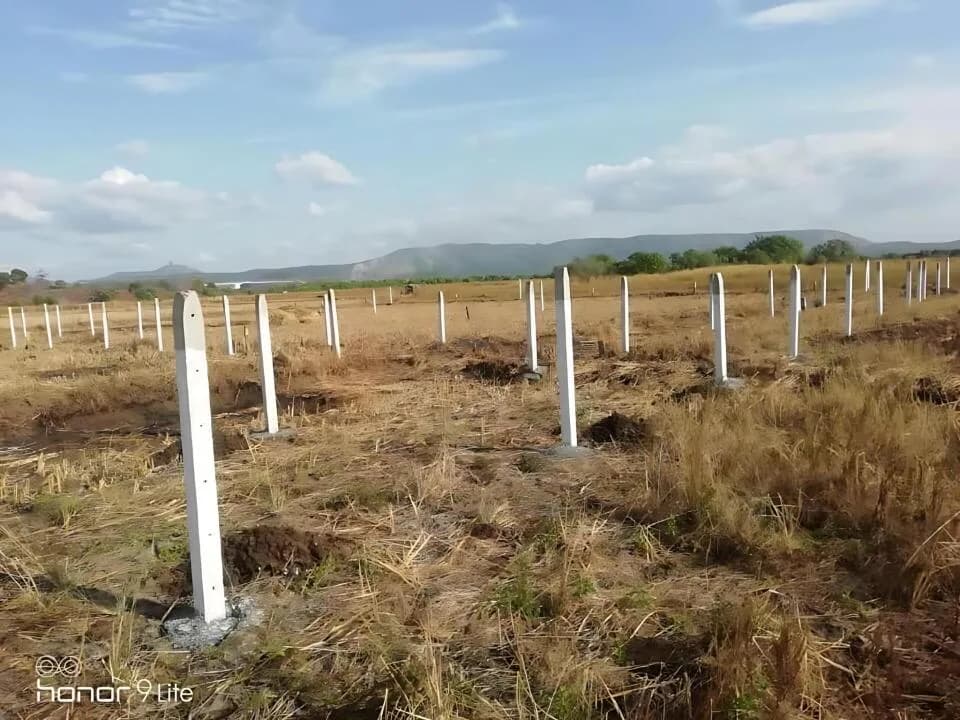 Residential Prime Plots — Site View