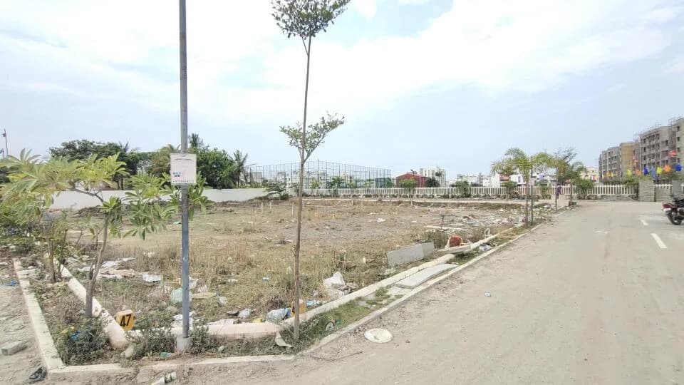 Stepsstone Vatsa Vivid — Site View