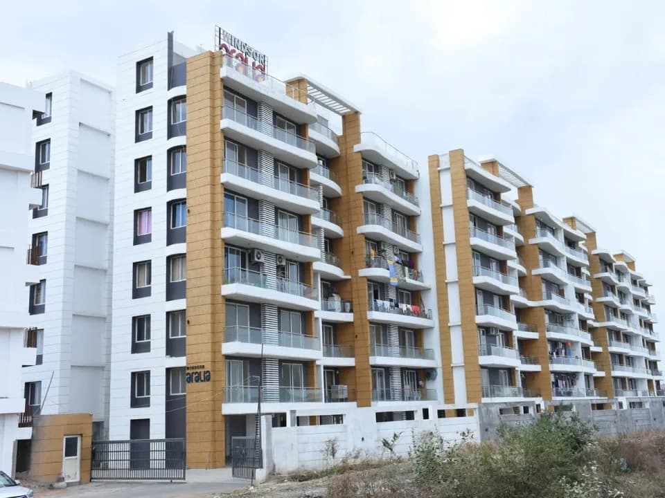 Windsor Aralia, Kolar Road