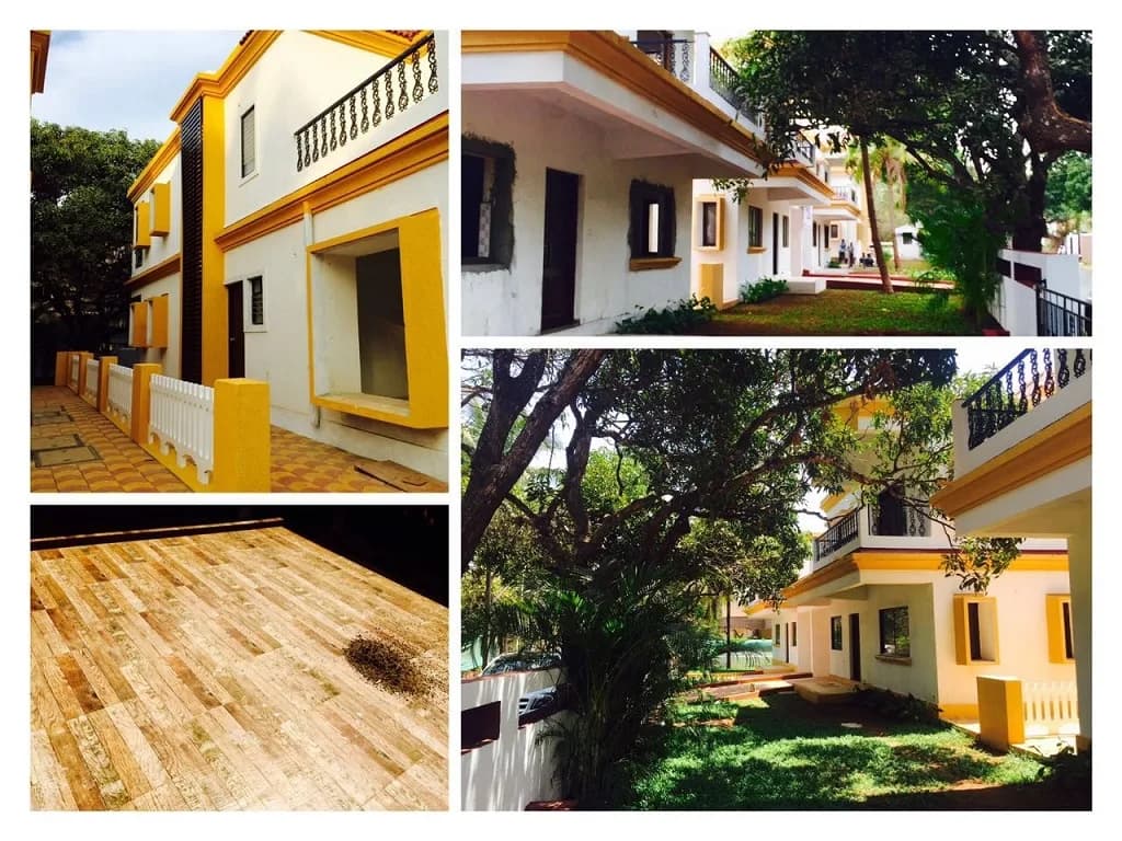 Vision Luxuria, Assagao