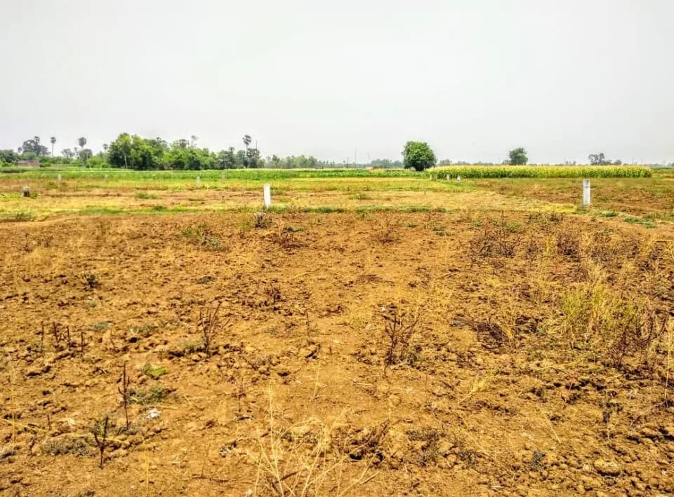 Goal City, Sarai