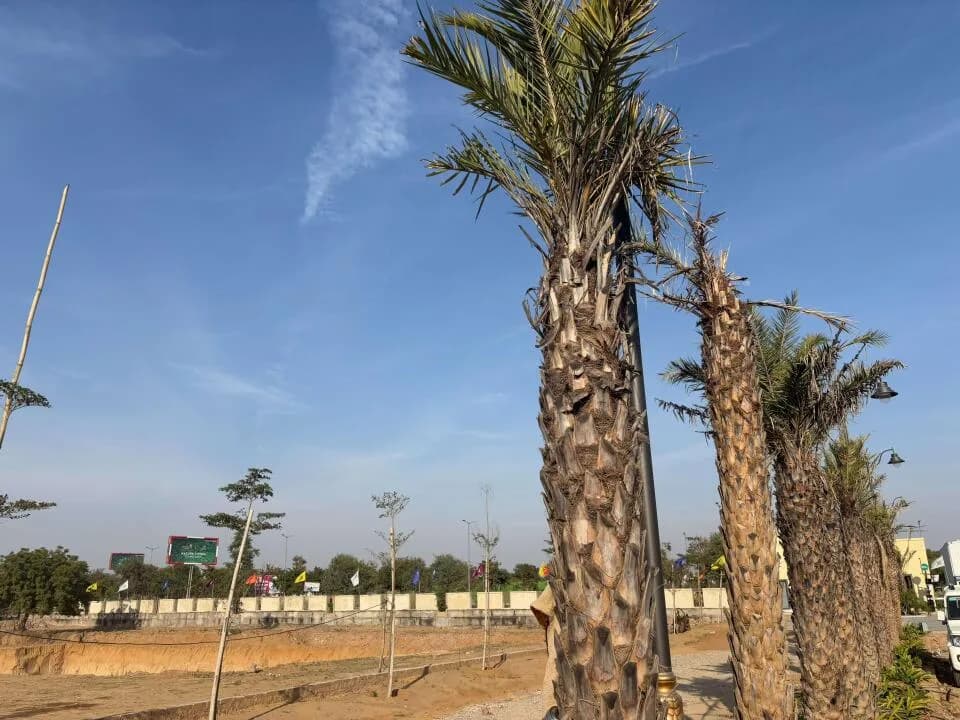 R Tech Palmera Garden, Ajmer Road