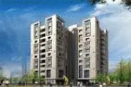 Deeshari Elite — Artistic Front View