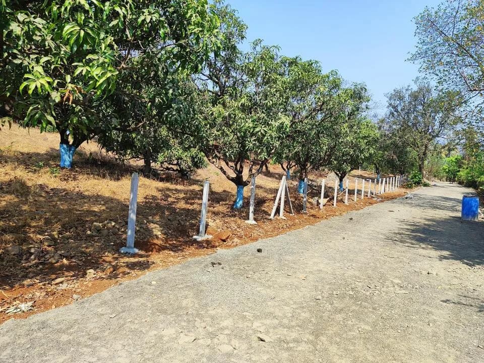 Prime Plots Chirle, Chirle