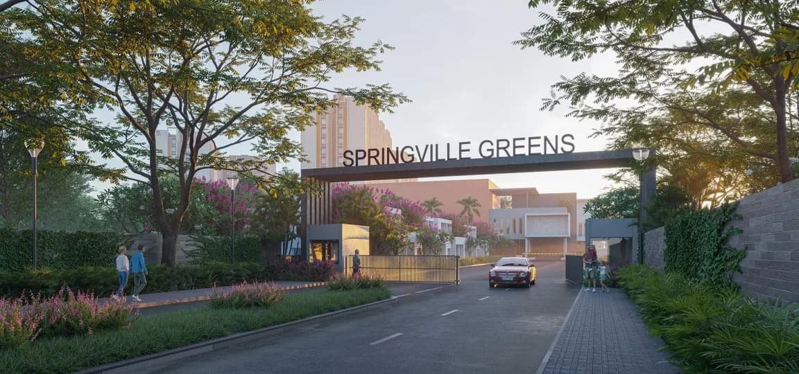 Springville Greens, Tamando