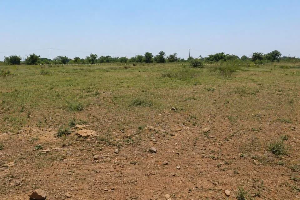 Swastik Kusum Plots — Site View