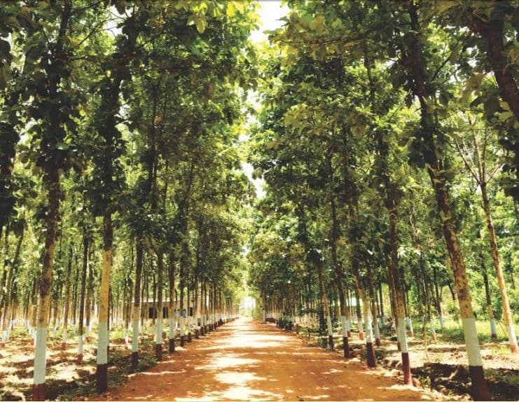 Teak Village, Nandigama