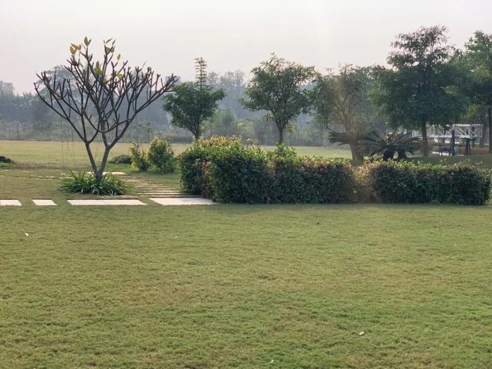 Amrawati IT City, Gomti Nagar Extension